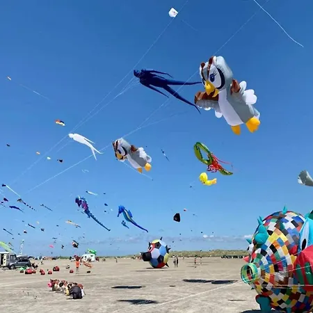 Feriehus 6 Person In Fano-by Traum